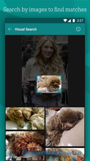 Tìm kiếm hình ảnh trong ứng dụng