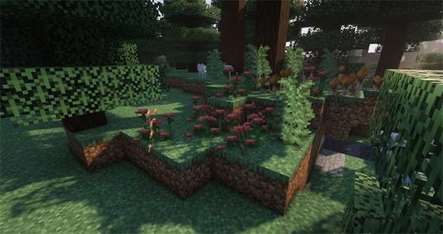 Biome Revamp Mod tập trung vào việc cải thiện quần xã sinh vật cơ bản của Minecraft