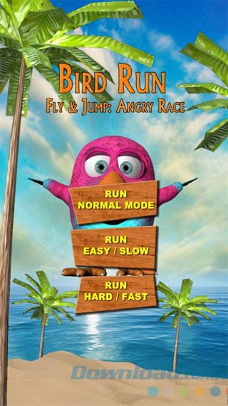 Game chạy Bird Run