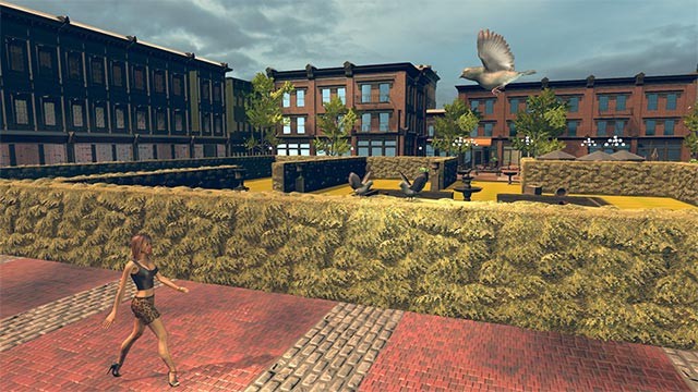 Cùng chim điên bước vào hành trình quậy banh thành phố