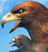 Bird Simulator - Early Access: Game Chim Điên Quậy Tung Thành Phố