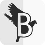 Birdfont 4.1.0: Phần mềm tạo phông chữ miễn phí
