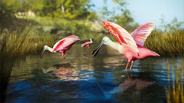 Birding Simulator là game mô phỏng chụp ảnh chim rừng và phiêu lưu khám phá thế giới tự nhiên