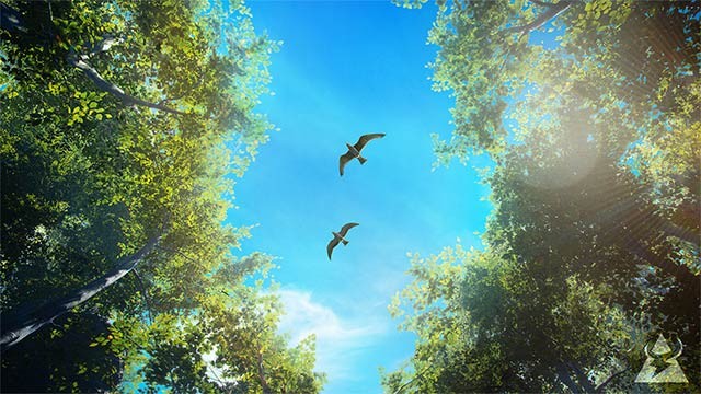 Chỉnh các thông số và canh góc để có những bức ảnh chim rừng tự nhiên, ấn tượng