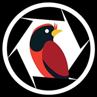 Birding Simulator Demo - Game Giả Lập Chụp Ảnh Chim