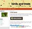 Birds and Trees - Free Nature Blog Template