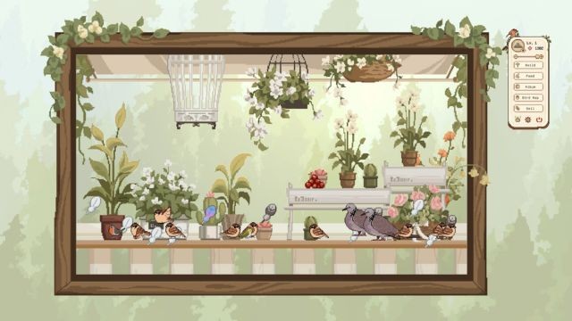 Đặt khung cửa ở bất kỳ đâu trên desktop rồi cùng ngắm chim cũng như cảnh quan thiên nhiên tươi đẹp