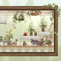 Birdwatching Notebook - Desktop Game Ngắm Chim Thư Giãn