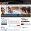 BizCorp: Free Business Unit Blogger Template
