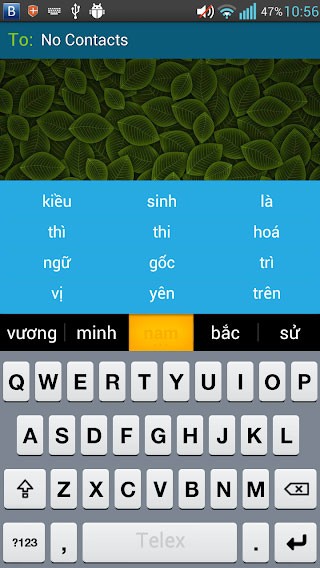 Bkav Go Tieng Viet 2*191301