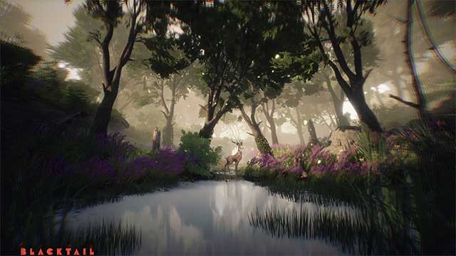 Khám phá thiên nhiên thơ mộng trong thế giới cổ tích của Blacktail