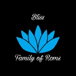 Bliss OS 11.10: Hệ điều hành mã nguồn mở dựa trên Android