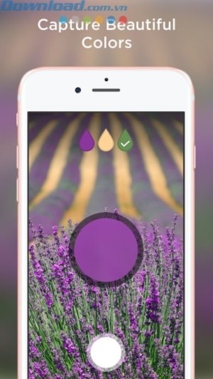 Sách tô màu dành cho người lớn