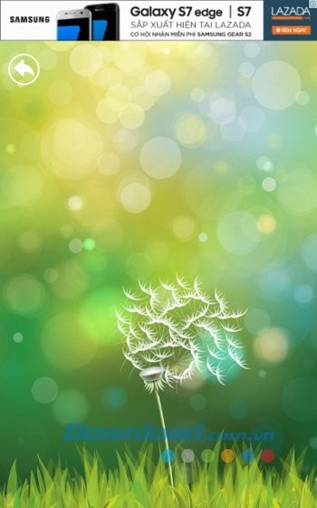 Thổi hoa bồ công anh trên BLOW