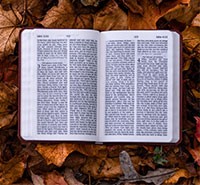 Bộ Ảnh Nền PowerPoint Giáo Viên, Mẫu Hình Nền Học Tập