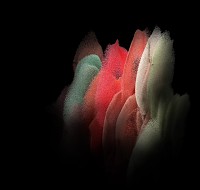 samsung galaxy 20*227691