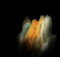 samsung galaxy 8*227687