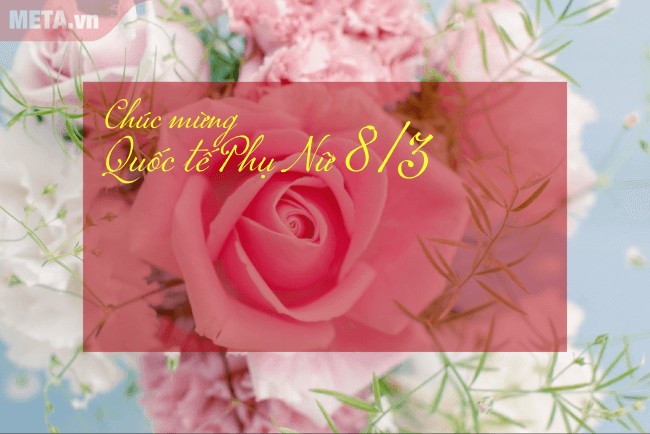 Bộ thiệp chúc mừng 8/3