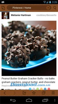 Boat Browser Mini for Android