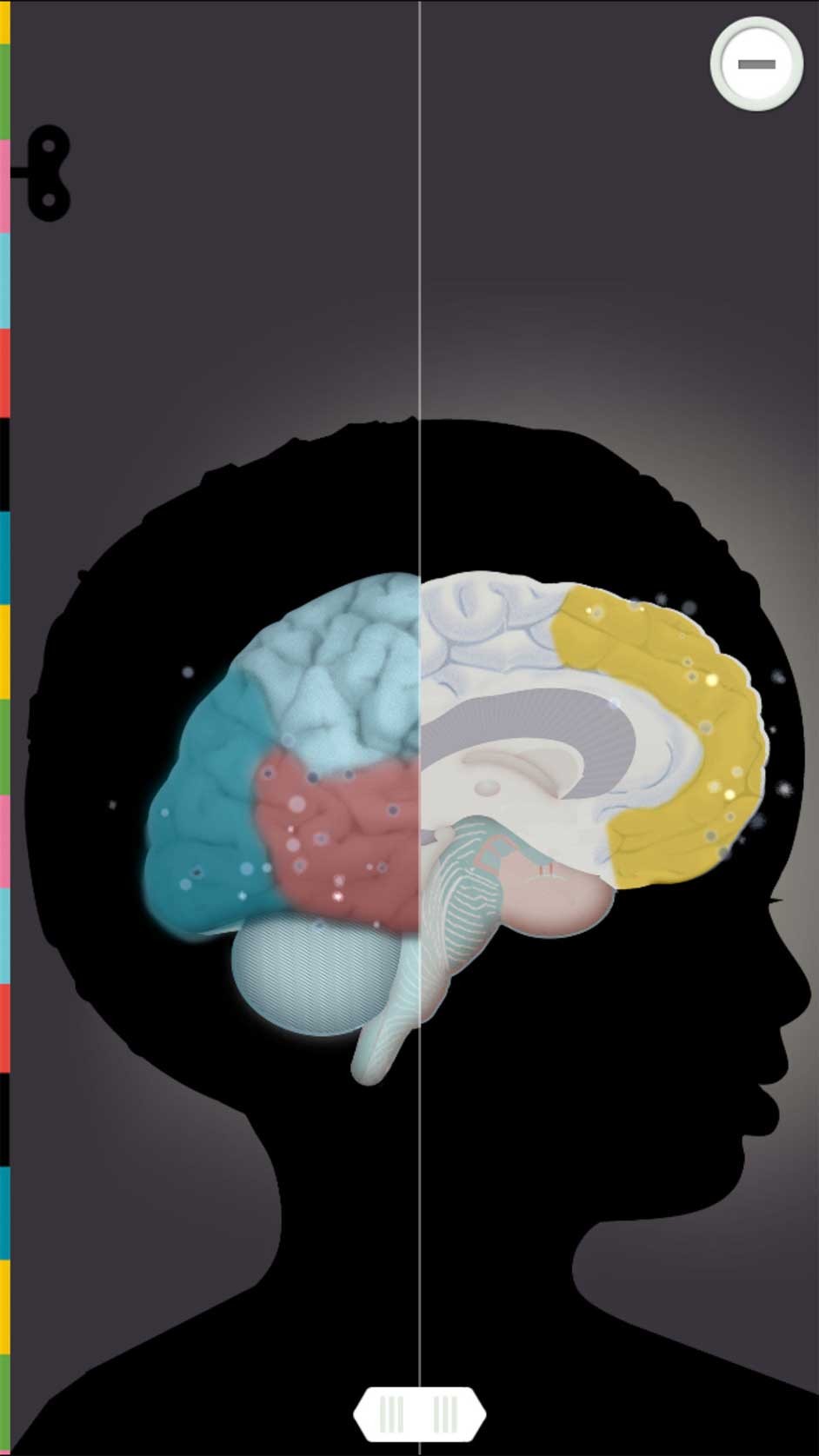 The Human Body by Tinybop cho iOS dễ sử dụng