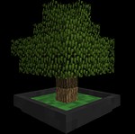 Bonsai Trees Mod Minecraft: Trồng Cây Bonsai Đẹp Mắt