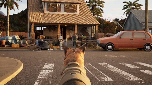 Cùng chú chó Rudy trung thành làm nhiệm vụ bảo vệ an ninh vùng biên giới