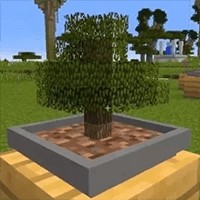 Botanic Bonsai Mod - Mod trồng cây bonsai Minecraft
