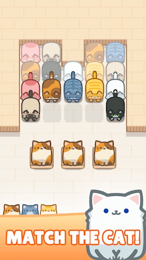 Box Cat Jam là game xếp mèo siêu đáng yêu