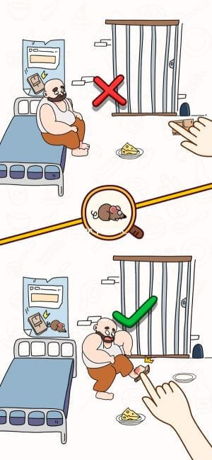 Câu trả lời ngớ ngẩn