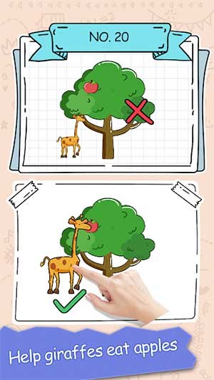 Nhiều đáp án bất ngờ