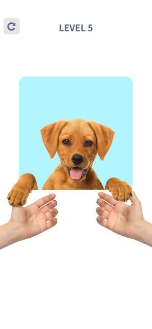 Brain Puzzle 99 Games là game đố vui hack não