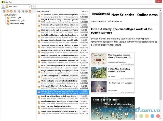 Giao diện BriskBard
