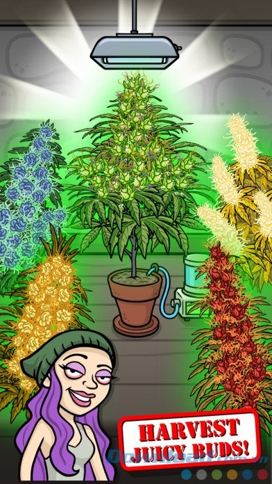 Game nông trại mới