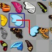 Butterfly Kyodai - Game Kết Nối Cánh Bướm Vui Nhộn