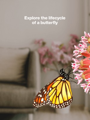 Butterfly Story cho bạn khám phá vòng đời của loài bướm