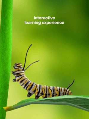 Trải nghiệm học tập tương tác