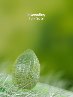 Tìm hiểu các sự thật thú vị