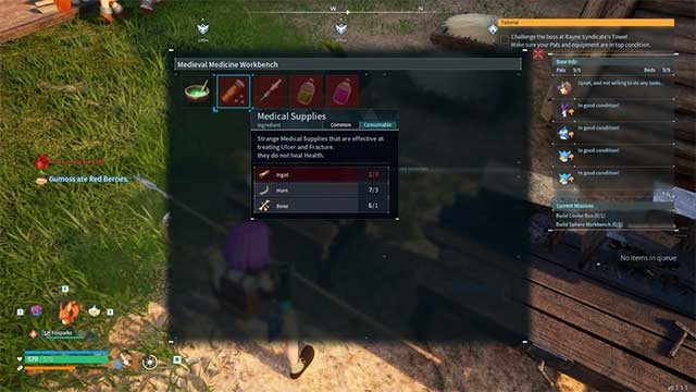 Có ba loại vật tư y tế trong Palworld