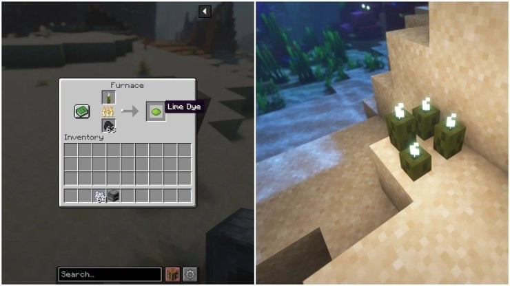 Dưa chuột biển có khả năng phát ra ánh sáng