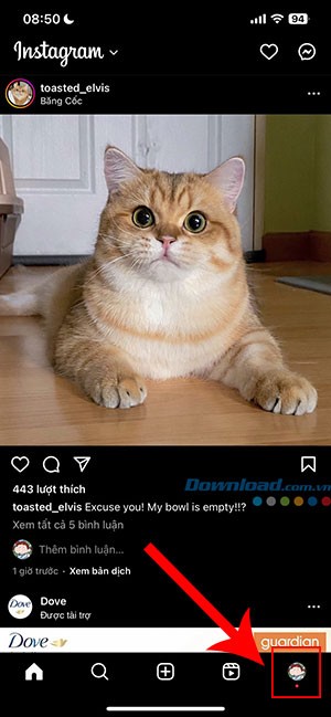 Hướng dẫn thay đổi cài đặt Instagram để xem nội dung nhạy cảm