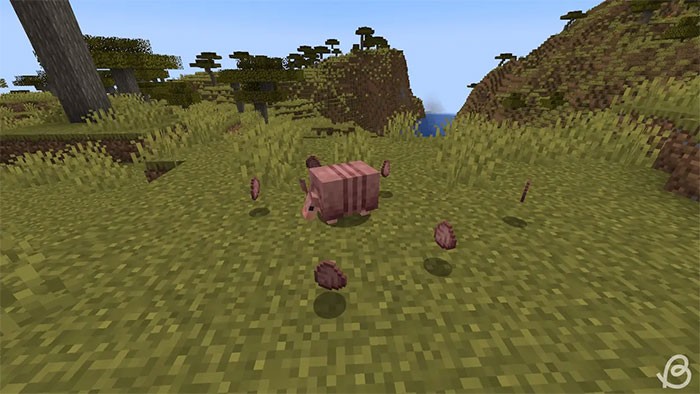 Cách lấy Armadillo Scute trong Minecraft - Hướng dẫn chi tiết
