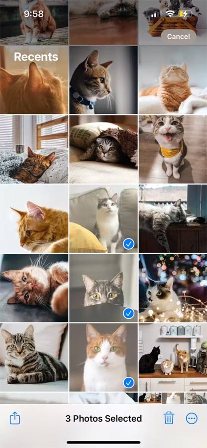 Bộ sưu tập ảnh