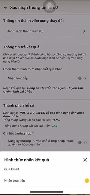 cach nhap khau vo ve nha chong tren vneid 10*513183