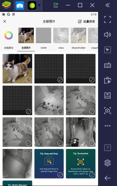 Ảnh đã được đưa vào Xingtu PC