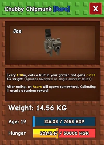 Cách Tăng Cân Cho Chubby Chipmunk Trong Grow A Garden