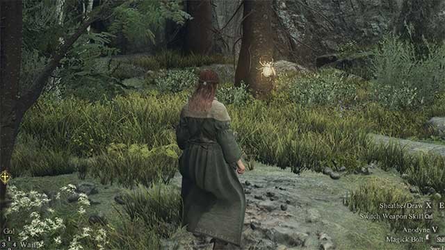 Bọ cánh cứng vàng cũng giúp tăng Stamina của bạn