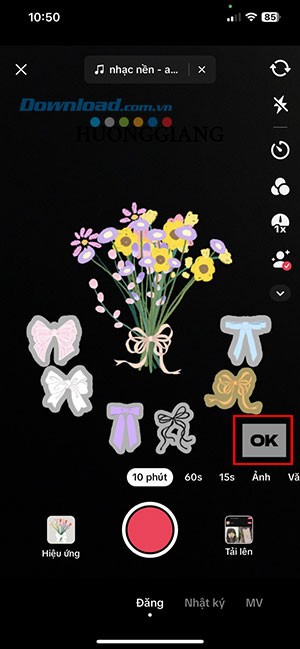Flower Language TikTok 5*470970