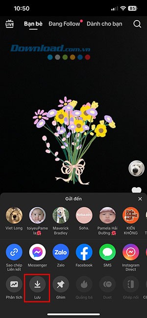 Flower Language TikTok 8*470971