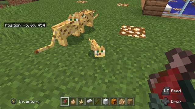 Khi nhân giống một con Ocelot, bạn sẽ cần phải hành động lén lút