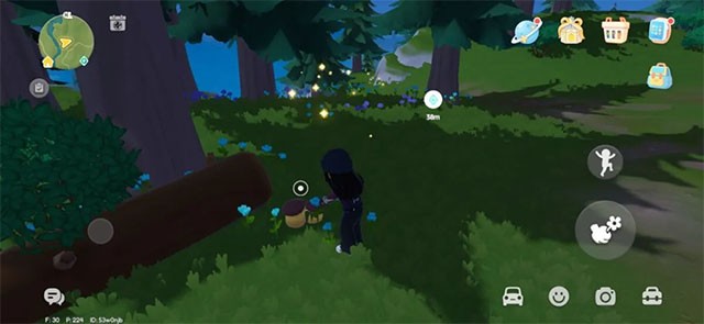 Cách tìm Nấm trong game Heartopia
